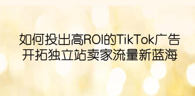 （6102期）如何投出高ROI·TikTok广告，开拓独立站卖家流量新蓝海-优优云创