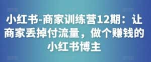 小红书-商家训练营12期:让商家丢掉付流量,做个赚钱的小红书博主-优优云创网