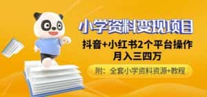 唐老师小学资料变现项目，抖音+小红书2个平台操作，月入数万元（全套资料+教程）-优优云创