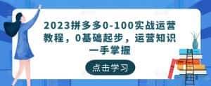 2023拼多多0-100实战运营教程，0基础起步，运营知识一手掌握-优优云创