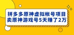 外面卖2980的拼多多原神虚拟帐号项目：卖原神游戏号5天赚了2万-优优云创