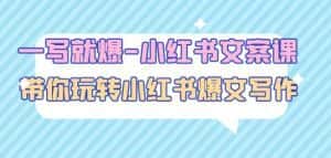 一写就爆-小红书文案课：带你玩转小红收爆文写作（45节课）-副业吧