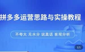 拼多多店铺运营思路与实操教程,快速学会拼多多开店和运营,少踩坑,多盈利-副业吧