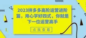 （6193期）2023拼多多高阶运营进阶篇，用心学好四式，你就是下一位运营高手-优优云创