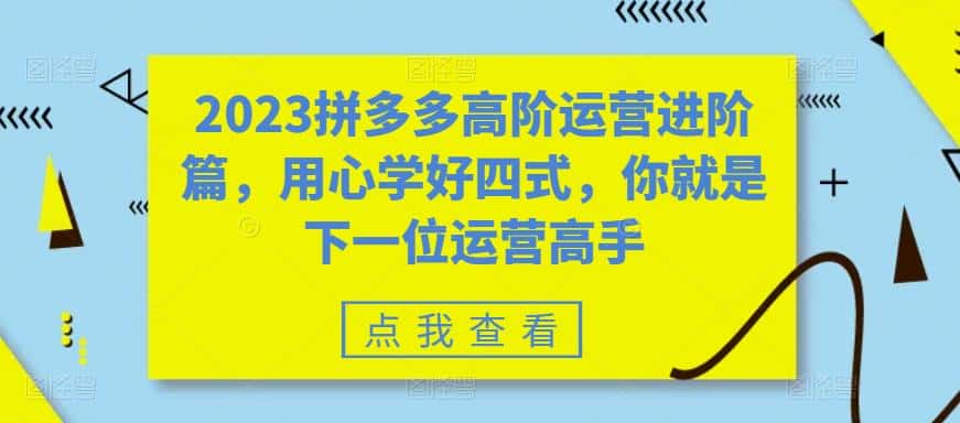 （6193期）2023拼多多高阶运营进阶篇，用心学好四式，你就是下一位运营高手-优优云创