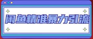 闲鱼精准暴力引流全系列课程，每天被动精准引流100+粉丝-优优云创