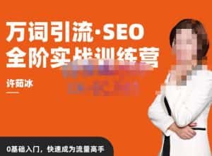 许茹冰·万词引流-SEO全阶实战训练营，0基础入门，快速成为流量高手-优优云创