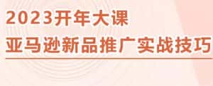 2023亚马逊新品推广实战技巧，线下百万美金课程的精简版，简单粗暴可复制，实操性强的推广手段-优优云创
