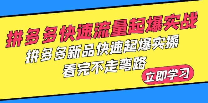 （6253期）拼多多-快速流量起爆实战，拼多多新品快速起爆实操，看完不走弯路-副业吧