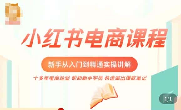 小红书电商新手入门到精通实操课,从入门到精通做爆款笔记,开店运营-优优云创