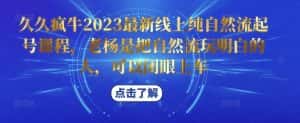 久久疯牛2023最新线上纯自然流起号课程，老杨是把自然流玩明白的人，可以闭眼上车-优优云创