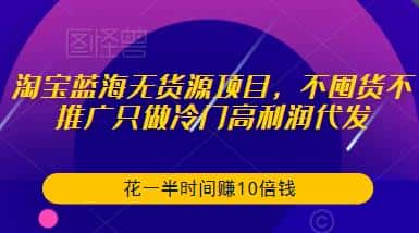淘宝蓝海无货源项目,不囤货不推广只做冷门高利润代发,花一半时间赚10倍钱-副业吧