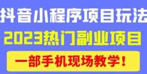 抖音小程序9.0新技巧，2023热门副业项目，动动手指轻松变现-优优云创