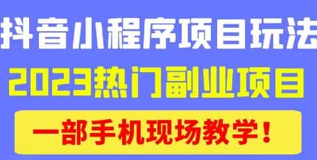 抖音小程序9.0新技巧，2023热门副业项目，动动手指轻松变现-优优云创