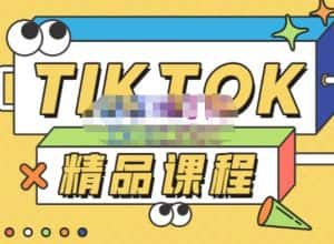 电商孵化中心·TikTok精品课程，教你玩转海外抖音，低成本创业，带您从0开始玩转TikTok-优优云创网