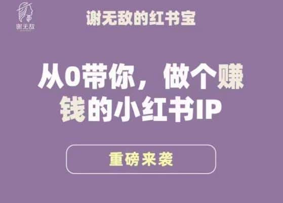 谢无敌·小红书运营大宝典，从0带你做个赚钱的小红书IP-优优云创
