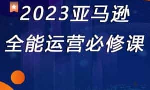 2023亚马逊全能运营必修课，全面认识亚马逊平台+精品化选品+CPC广告的极致打法-优优云创