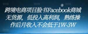 跨境电商项目脸书Facebook商城无货源，低投入高利润，熟练操作后月收入不会低于1W-3W-优优云创