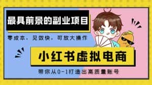 小红书蓝海大市场虚拟电商项目，手把手带你打造出日赚2000+高质量红薯账号-优优云创