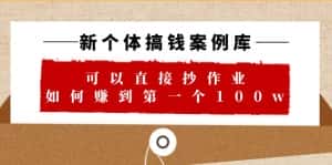 （6363期）新个体 搞钱案例 库，可以直接抄作业 如何赚到第一个100w（29节视频+文档）-优优云创