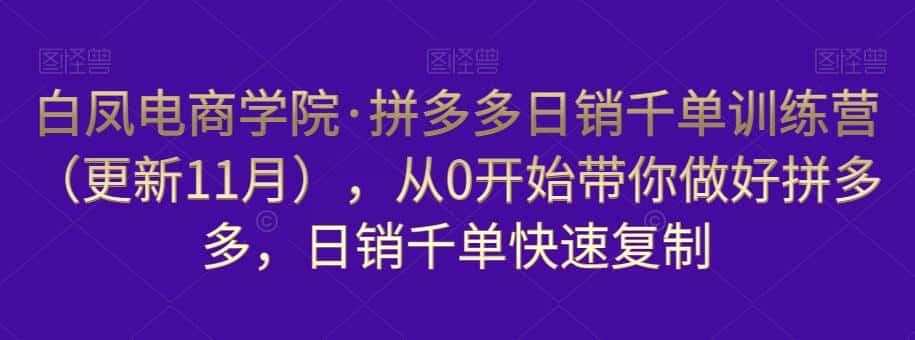 白凤电商学院·拼多多日销千单训练营，从0开始带你做好拼多多，日销千单快速复制（更新知2023年3月）-副业吧