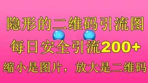 （6407期）隐形的二维码引流图，缩小是图片，放大是二维码，每日安全引流200+-优优云创