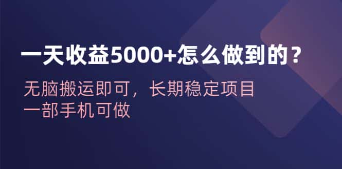 （6435期）一天收益5000+怎么做到的？无脑搬运即可，长期稳定项目，一部手机可做-优优云创