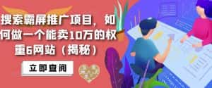 搜索霸屏推广项目，如何做一个能卖10万的权重6网站（揭秘）-优优云创
