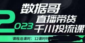 数据哥2023直播电商巨量千川付费投流实操课，快速掌握直播带货运营投放策略-优优云创