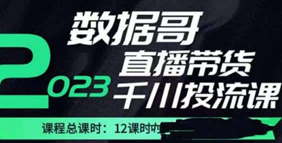 数据哥2023直播电商巨量千川付费投流实操课，快速掌握直播带货运营投放策略-优优云创