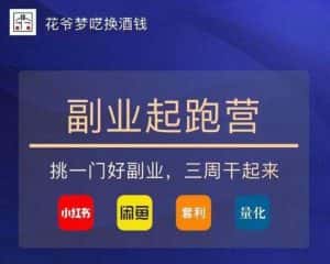 花爷-副业起跑营第2期，挑一门好副业，三周干起来（闲鱼｜小红书｜量化｜套利）-优优云创