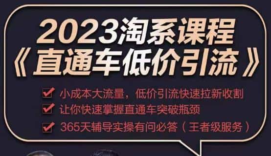 2023直通车低价引流玩法课程，小成本大流量，低价引流快速拉新收割，让你快速掌握直通车突破瓶颈-优优云创