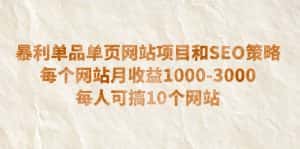 （6503期）暴利单品单页网站项目和SEO策略  每个网站月收益1000-3000  每人可搞10个-优优云创