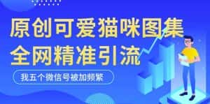 黑科技纯原创可爱猫咪图片，全网精准引流，实操5个VX号被加频繁-优优云创