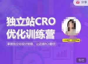 独立站CRO优化训练营，掌握独立站设计秘籍，打造高转化的独立站，让店铺ROI翻倍-优优云创