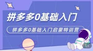 六一电商·拼多多运营0-1实操特训营，拼多多从基础到进阶的可实操玩法-副业吧