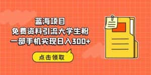 （6546期）蓝海项目，免费资料引流大学生粉一部手机实现日入300+-优优云创