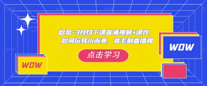 哈哥·3月线下实操课高清视频+课件，如何玩转小而美，高毛利直播间-优优云创