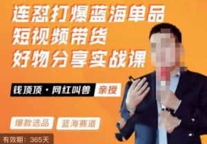 网红叫兽·连怼打爆蓝海单品，短视频带货好物分享实战课-优优云创
