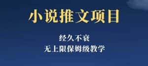 经久不衰的小说推文项目，单号月5-8k，保姆级教程，纯小白都能操作-优优云创
