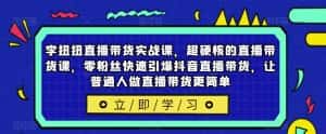 李扭扭直播带货实战课，超硬核的直播带货课，零粉丝快速引爆抖音直播带货，让普通人做直播带货更简单-副业吧