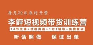 李鲆·短视频带货第16期，一部手机，碎片化时间，零基础也能做，听话照做，保证出单-副业吧