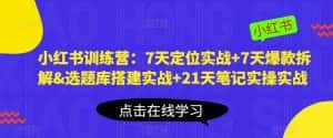 小红书训练营：7天定位实战+7天爆款拆解&选题库搭建实战+21天笔记实操实战-优优云创