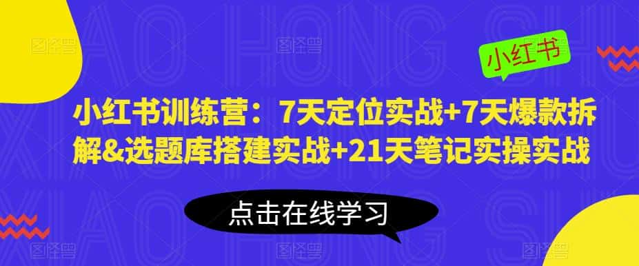 小红书训练营：7天定位实战+7天爆款拆解&选题库搭建实战+21天笔记实操实战-优优云创