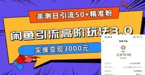 亲测日引50+精准粉，闲鱼引流高阶玩法3.0，实操变现3000元【揭秘】-优优云创