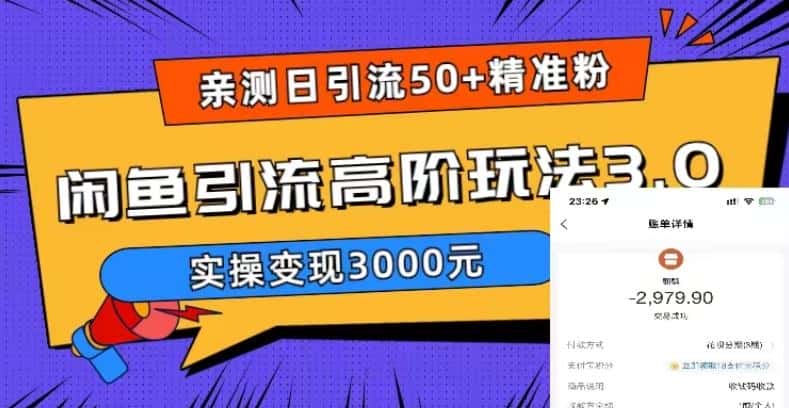 亲测日引50+精准粉，闲鱼引流高阶玩法3.0，实操变现3000元【揭秘】-优优云创