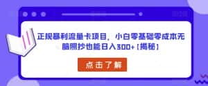 正规暴利流量卡项目，小白零基础零成本无脑照抄也能日入300+【揭秘】-优优云创