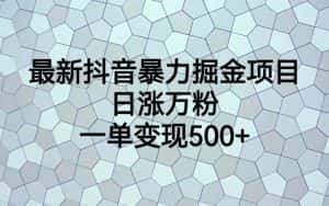 （6642期）最新抖音暴力掘金项目，日涨万粉，一单变现500+-优优云创