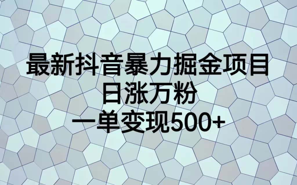 （6642期）最新抖音暴力掘金项目，日涨万粉，一单变现500+-优优云创