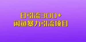（6694期）日引流300+闲鱼暴力引流项目-优优云创